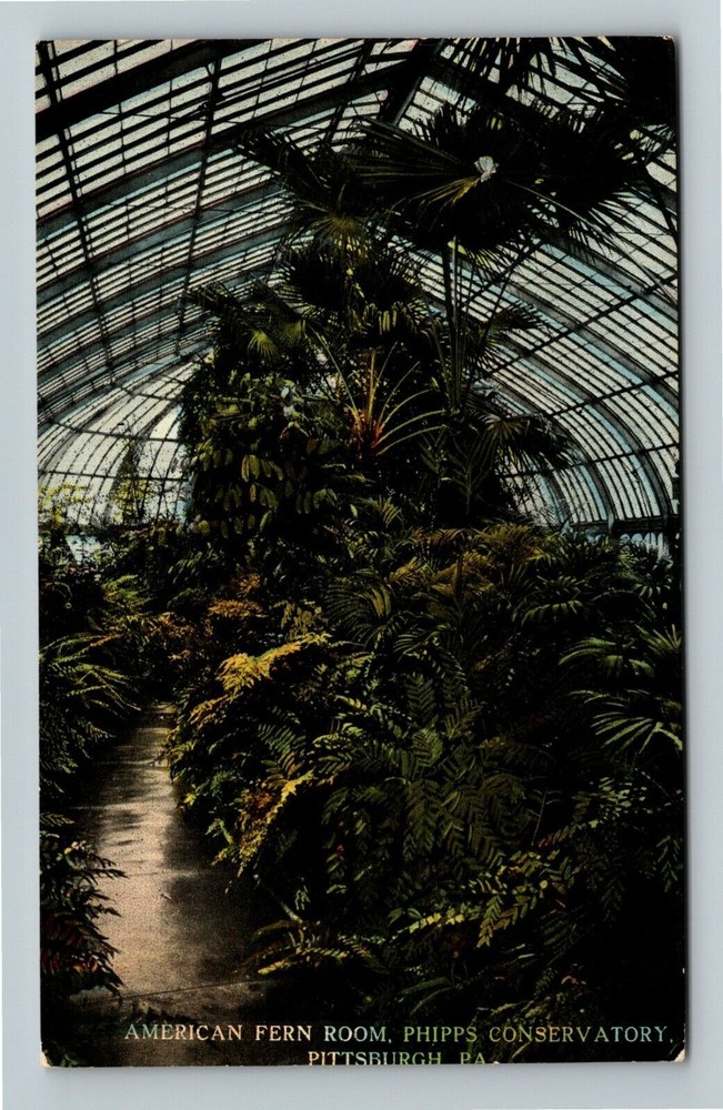 Pittsburgh Pennsylvania, PHIPPS CONSERVATORY, FERN ROOM Vintage Postcard
