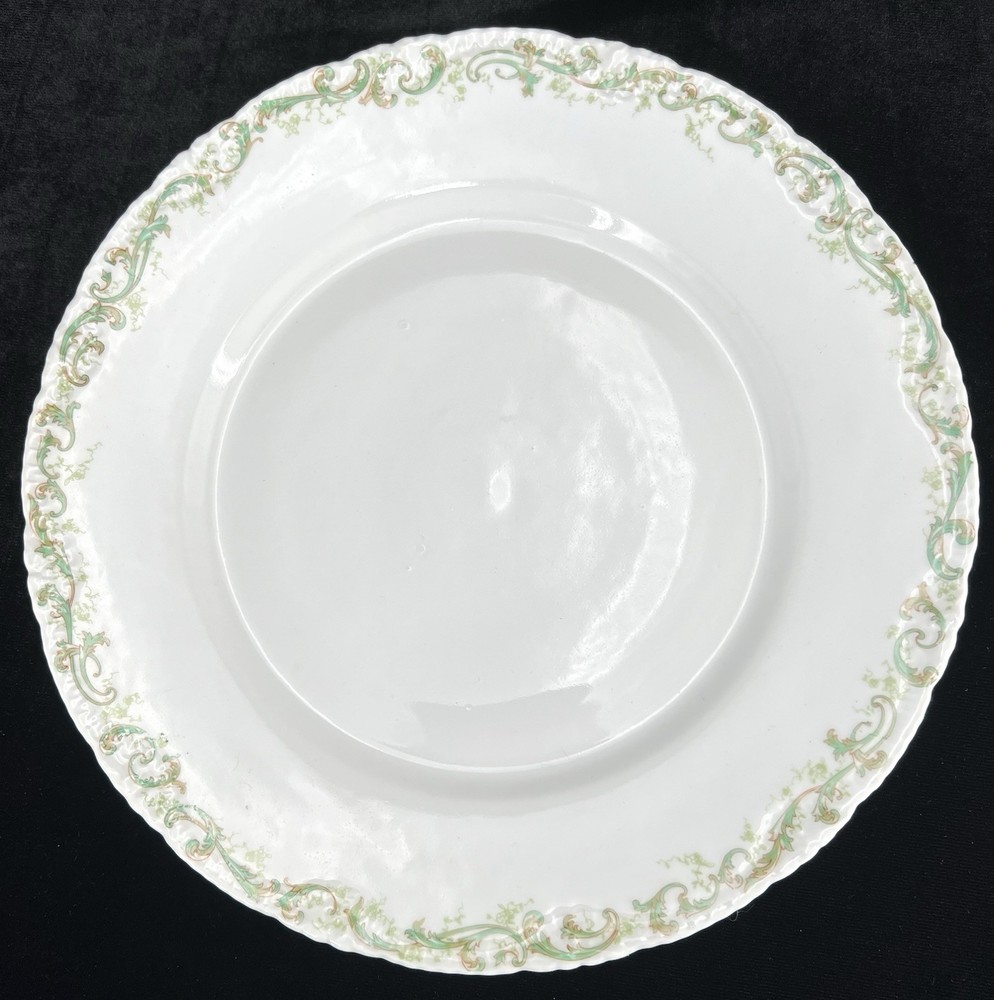 Haviland Limoges Dinner Plates 9 7/8” Schleiger 171  - Chipped