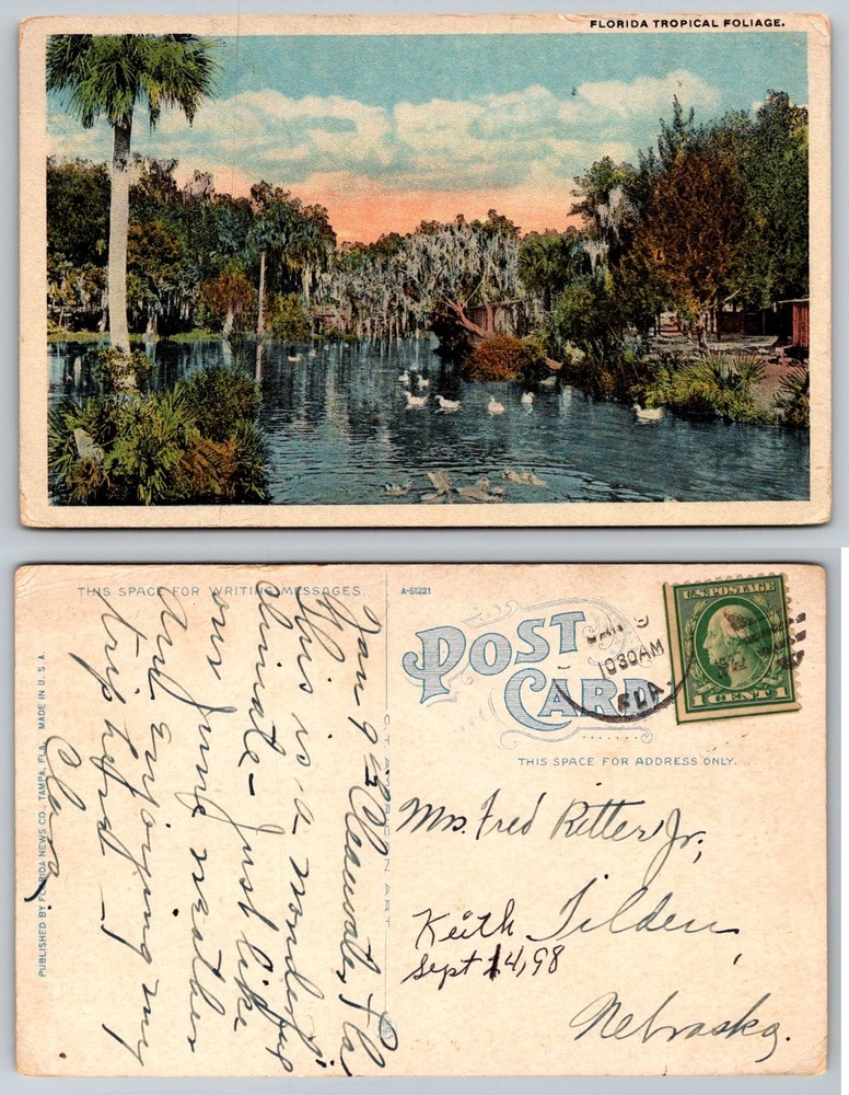 Vintage Postcard Florida Tropical Foliage Ducks Pond Spanish Moss 1908 Postmark