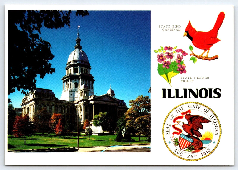Springfield Illinois State Capitol Building Cardinal Bird Seal Vintage Postcard
