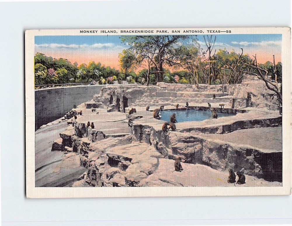 Postcard Monkey Island Brackenridge Park San Antonio Texas USA