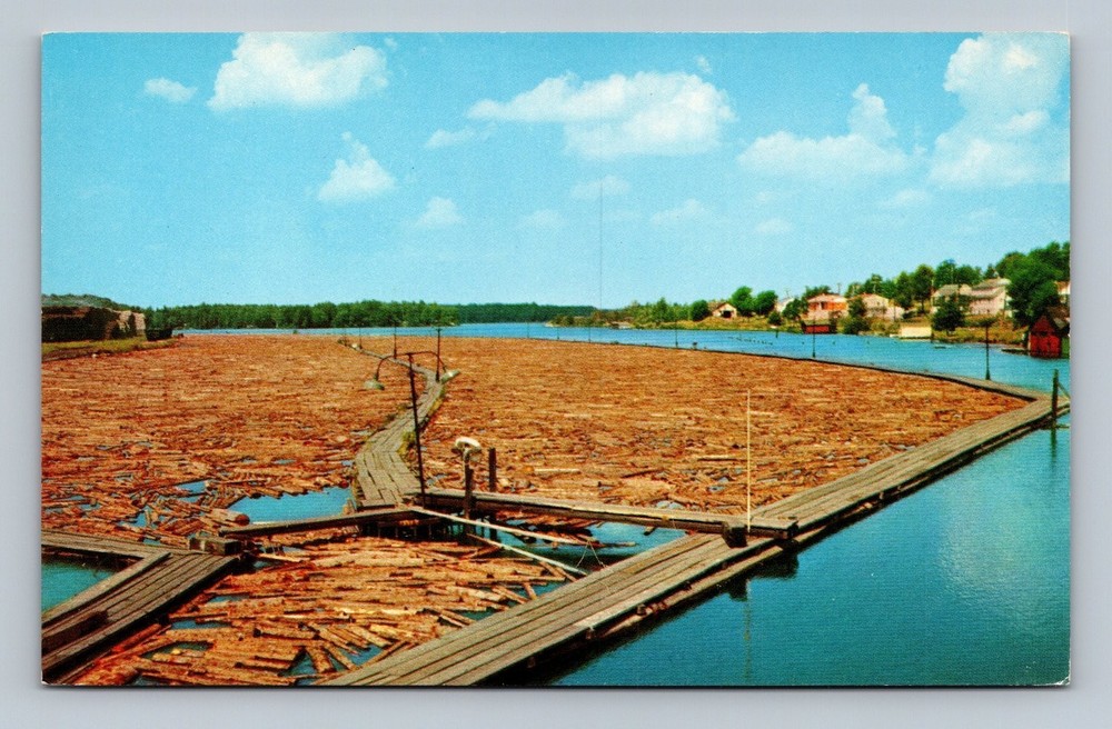 Vintage Rhinelander Wisconsin Pulpwood Paper Mill Postcard Curt Teich