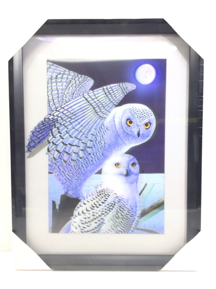 2 Snowy Owls 3D Lenticular Picture in Plastic Frame New Sealed