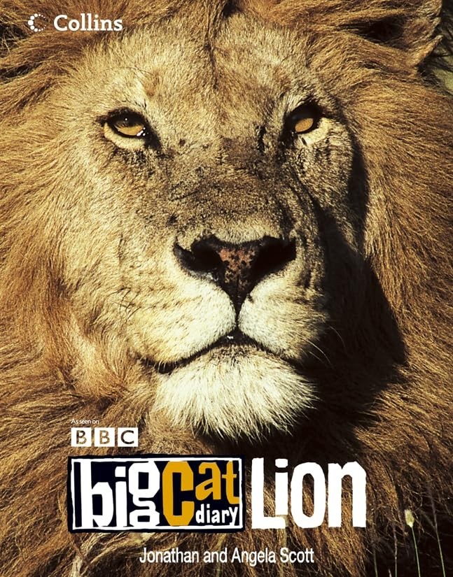 Big Cat Diary: Lion by Scott, Angela Paperback Book The Fast Free ShippingFREE US DELIVERY | ISBN: 0007211791 | Quality Books