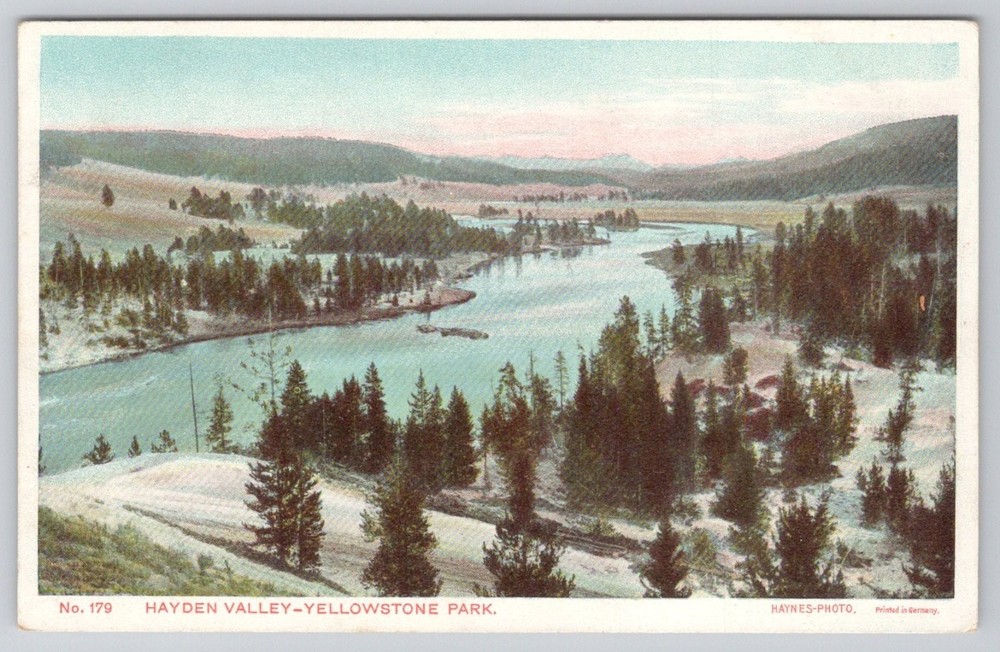 Hayden Valley Yellowstone Park Haynes-Photo Vintage Postcard Printed Germany