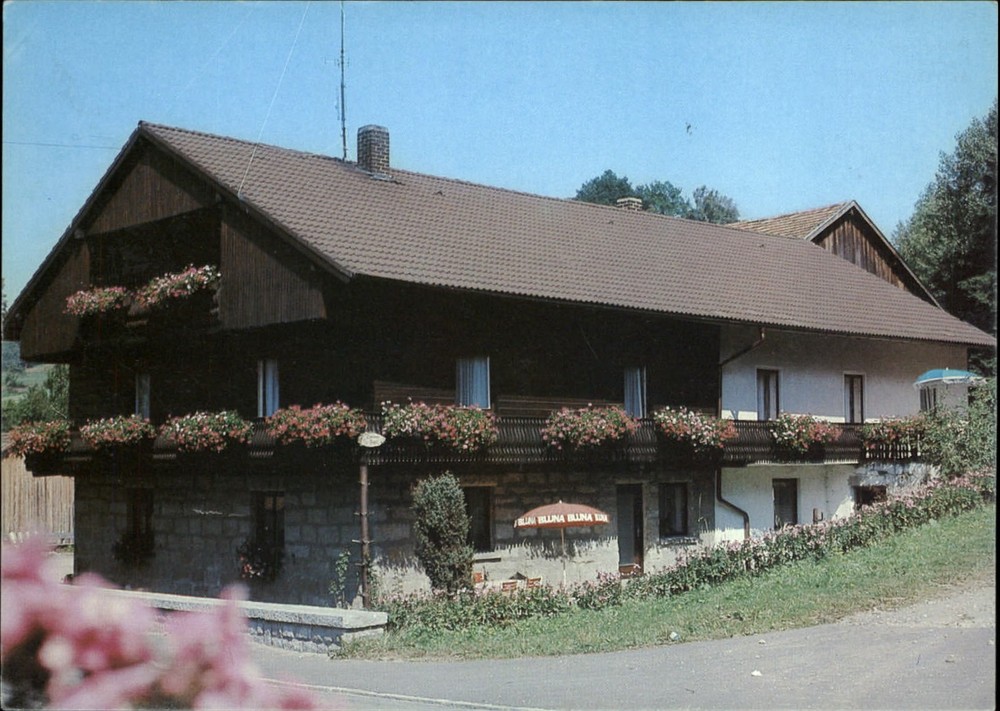 Germany Pension Josef Kopp Drachselsried Bayr Wald ~ postcard sku275