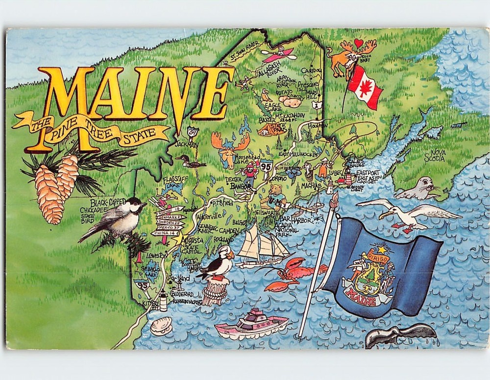 Postcard The Pine Tree State Maine USA