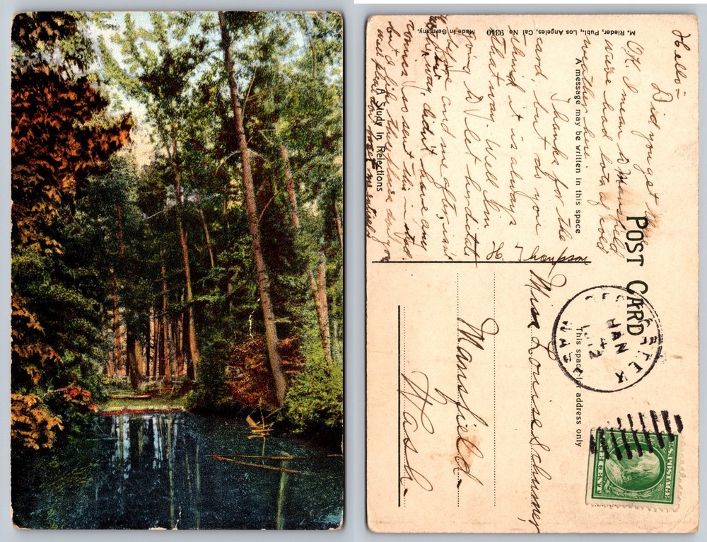 Forest River Landscape Postcard