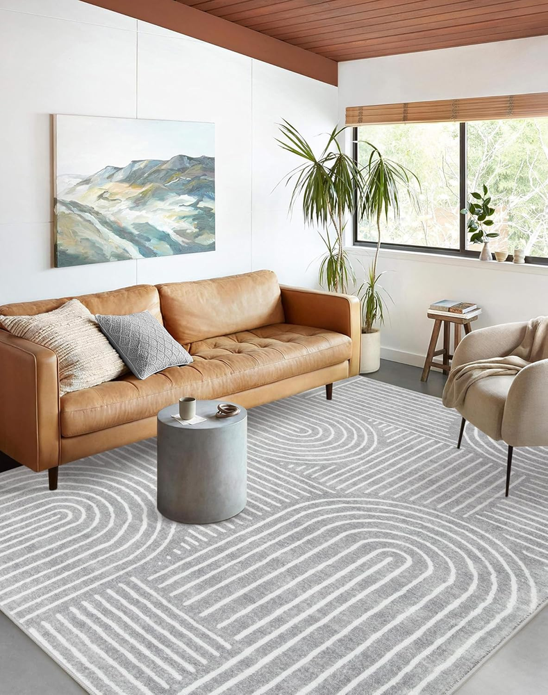 Abstract Area Rug 5X7,Soft Washable Rugs for Living Room Ultra-Thin Non Slip Gra