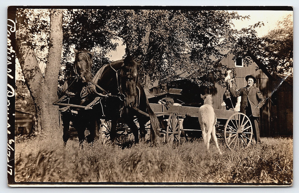 Vintage Picture Postcard Real Photo Old Photograph Farm Horses Wagon Man Rppc