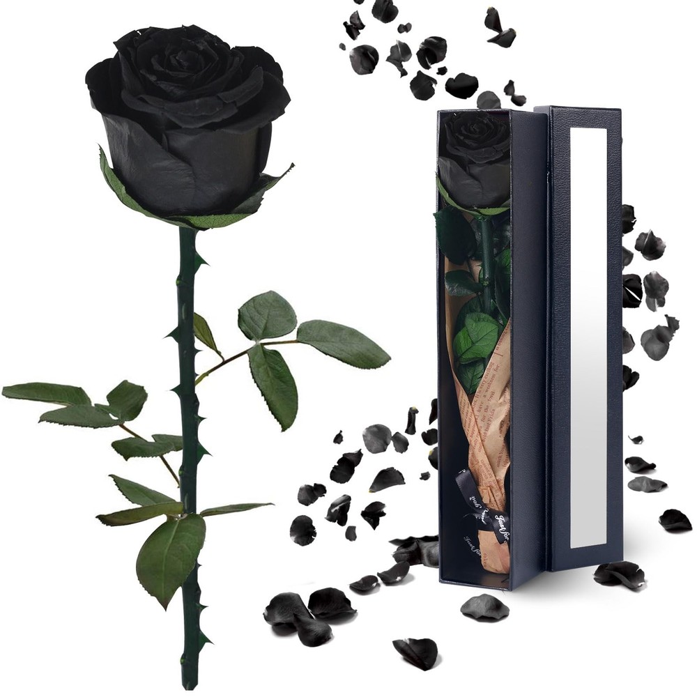 Black Preserved Flowers Gifts for Women: Roses for Birthday Wedding Gift for