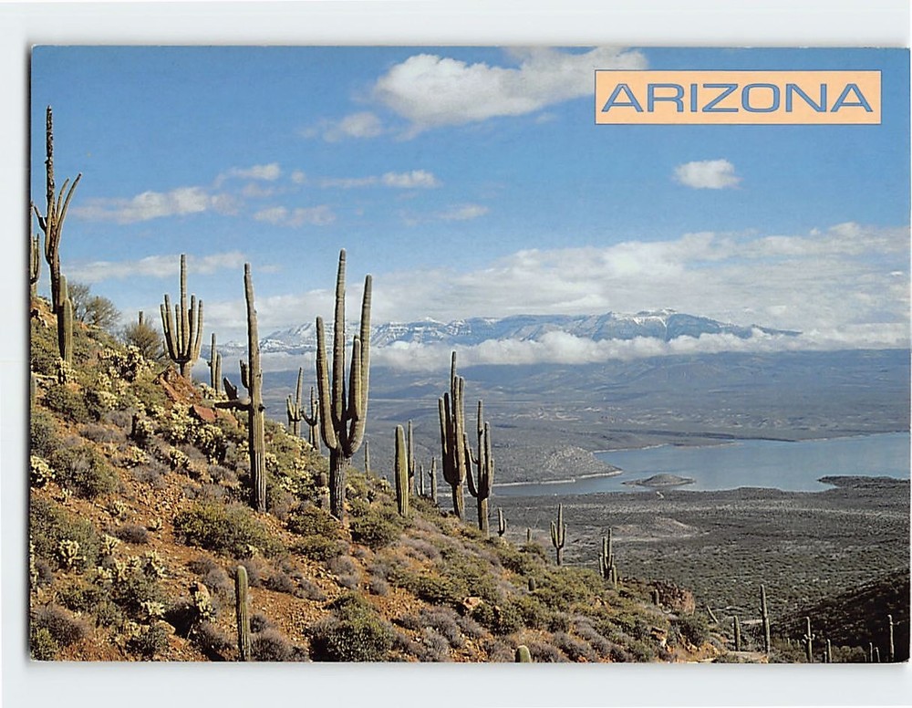 Postcard Roosevelt Lake Arizona USA