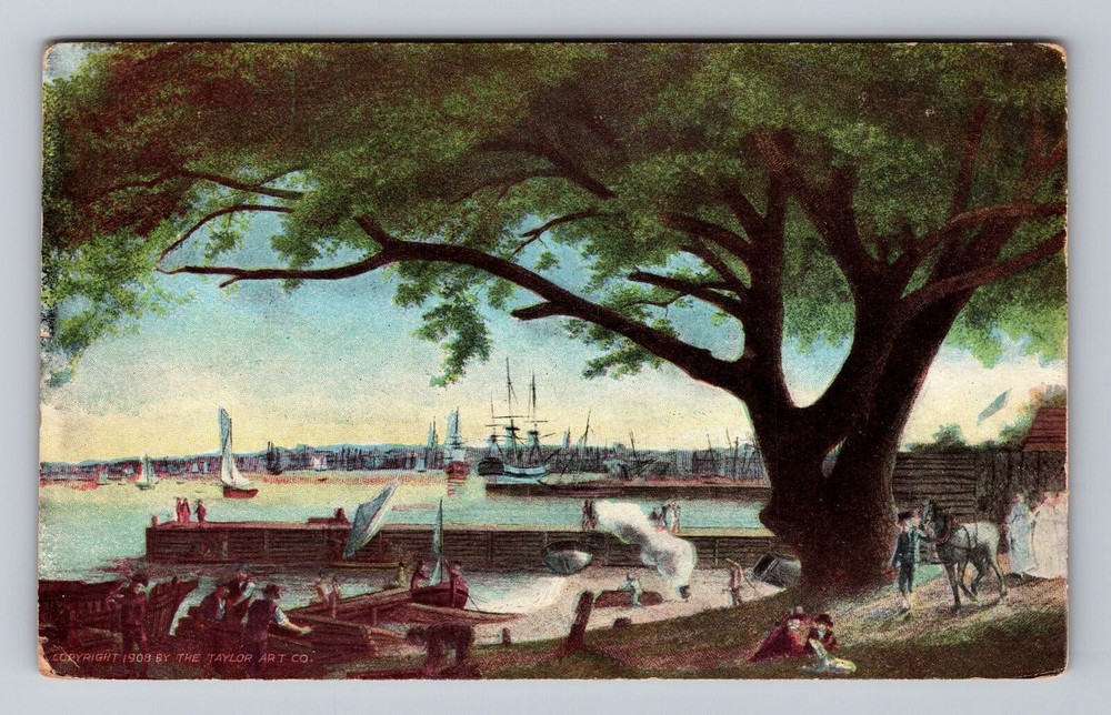 Philadelphia PA-Pennsylvania River Front Showing Memorial Tree Vintage Postcard
