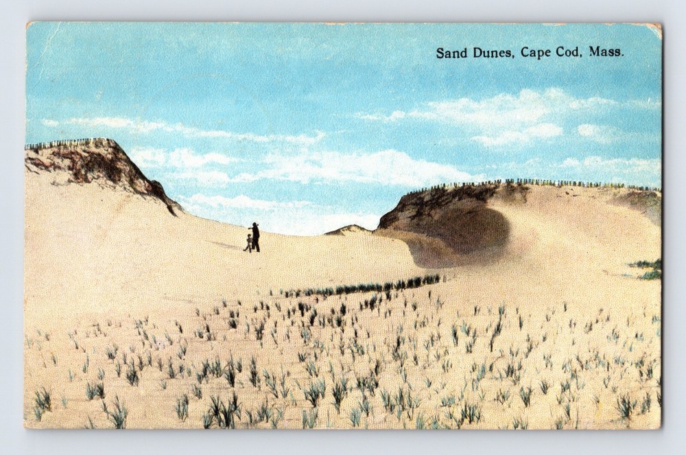 Postcard Massachusetts Cape Cod MA Sand Dunes 1919 Posted Divided Back