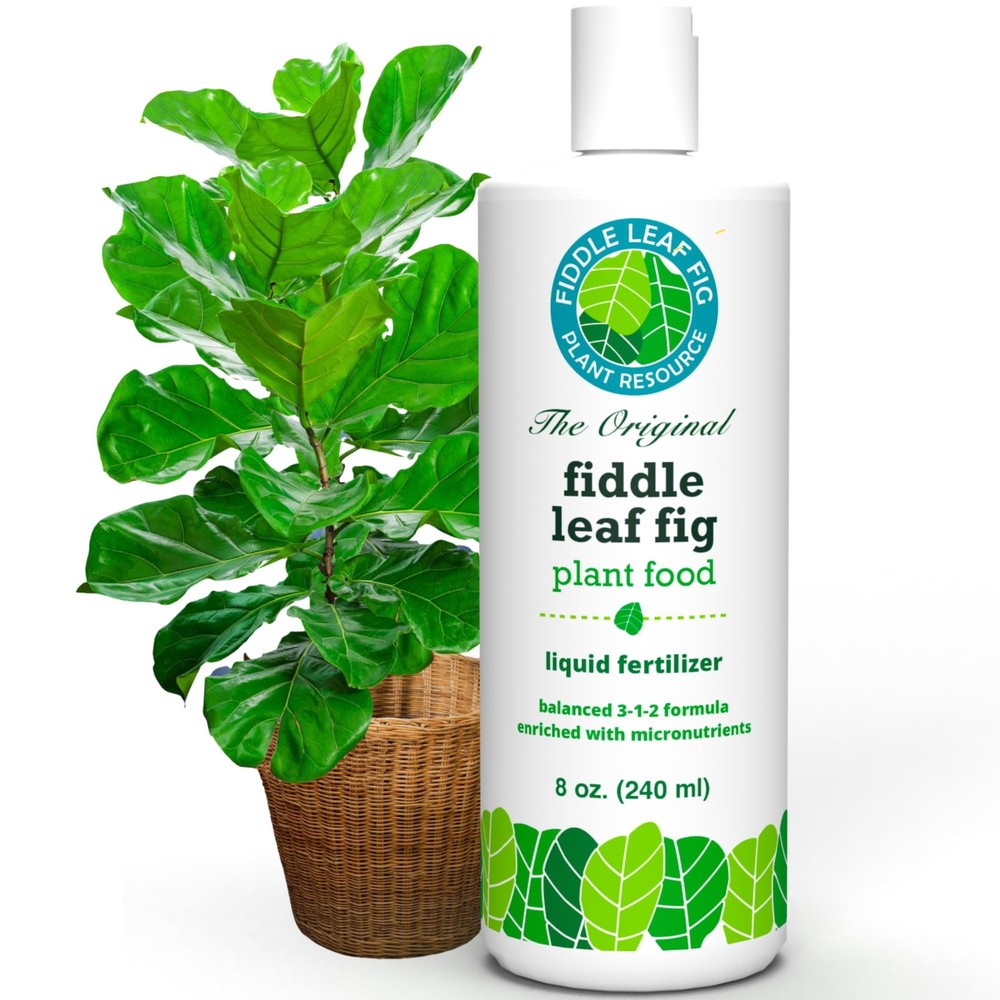 Fiddle Leaf Fig & Ficus Audrey Plant Food - Nutrient-Rich Fertilizer