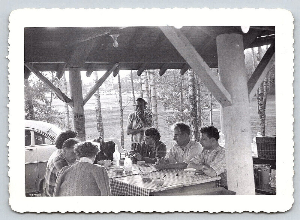 Vintage Old Outdoor Antique Photo Picture Family Car Picnic Food People 1956