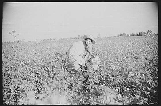 Knowlton Plantation,Perthshire,Mississippi Delta,Mississippi,MS,1939,FSA,6 2