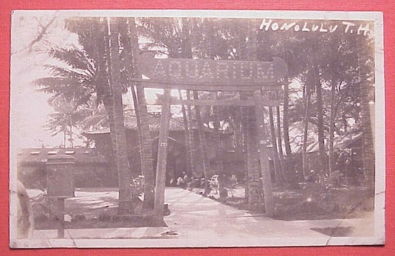 1920's Waikiki Aquarium Entrance TH Hawaii AZO RPPC