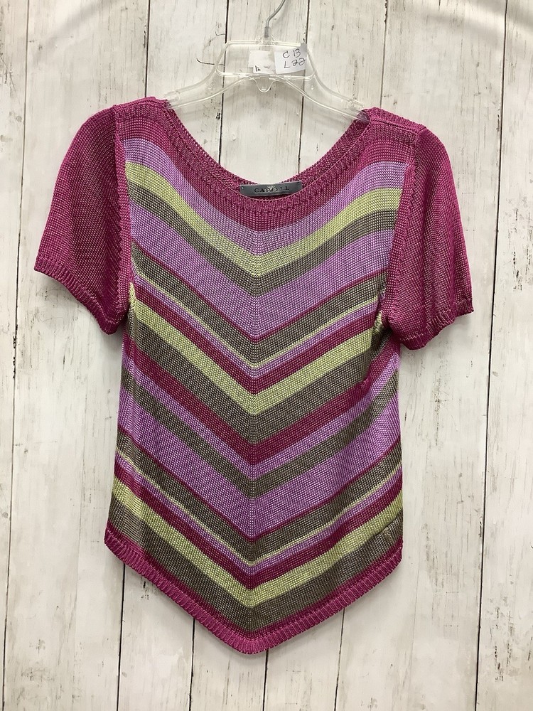 Caroll Pink & Green Chevron Striped Knit Short Sleeve Top – Vibrant Summer Style