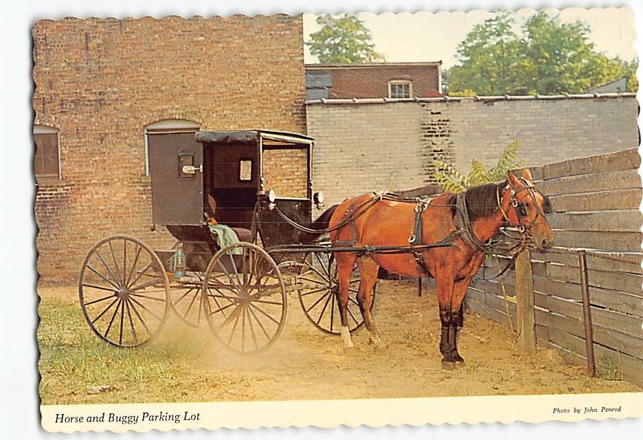 Postcard Horse And Buggy Parking Lot Northern Indiana USA