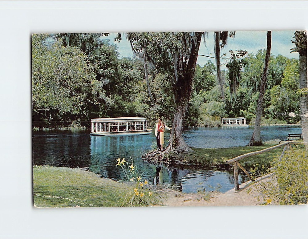 Postcard Glass Bottom Boats Silver Springs Florida USA