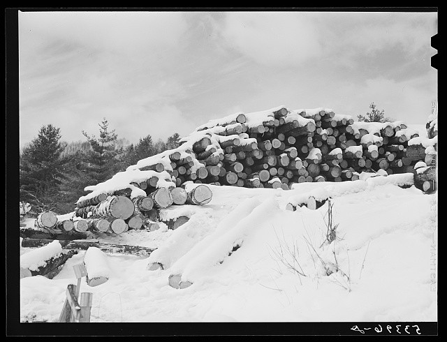 Photo:Warren New Hampshire 1940 Hurricane Timber Pile at Saw Mill