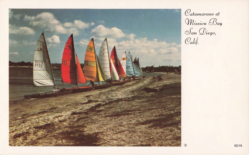 Catamarans at Mission Bay - San Diego California CA - Postcard