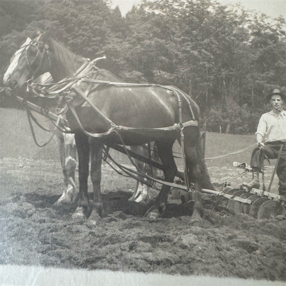 Antique RPPC Postcard Draft Horse Plowing Field w/ Farmer Posted