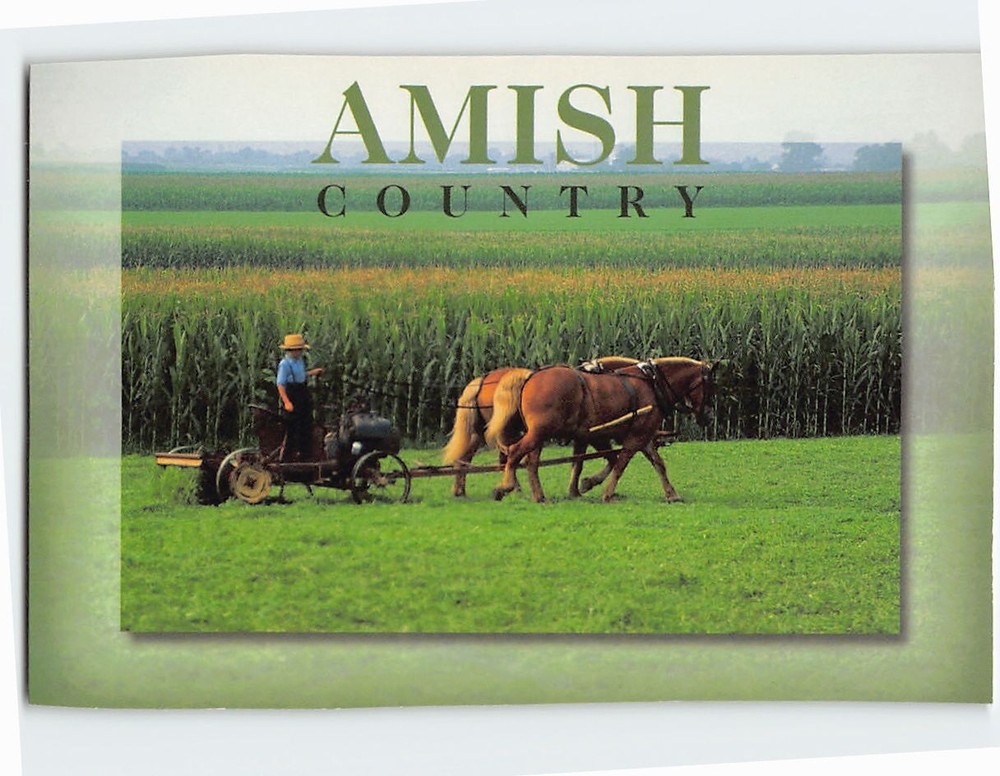 Postcard A Typical Farm Scene Amish Country Pennsylvania