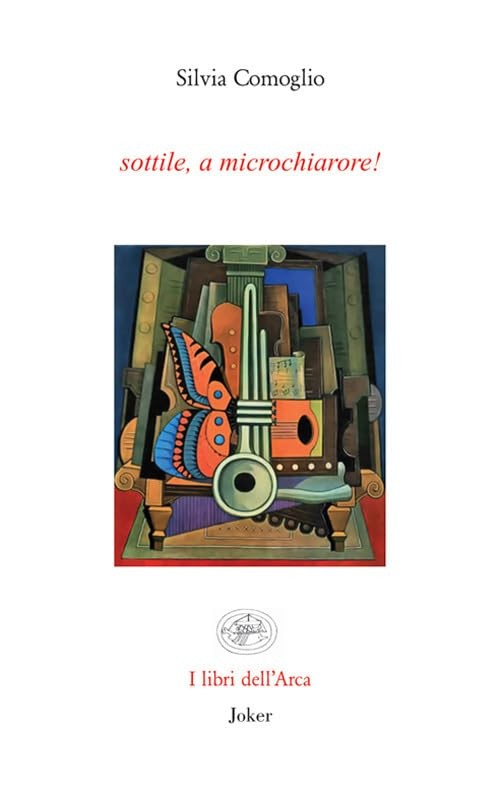 Silvia Comoglio Oddino Gagliardi Sottile, a microchiarore! (Paperback)Another great item from Rarewaves USA | Free delivery!