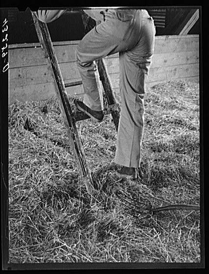 Rockville,Maryland,MD,Montgomery County,Farm Security Administration,FSA,1940,4