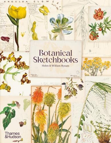 Botanical Sketchbooks by Bynum, William Paperback / softback Book The Fast FreeFREE US DELIVERY | ISBN: 0500297185 | Quality Books