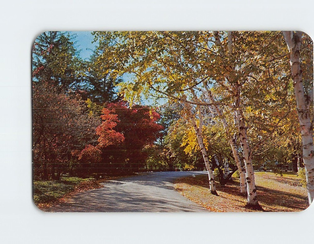 Postcard Countryside Autumn Nature Scene