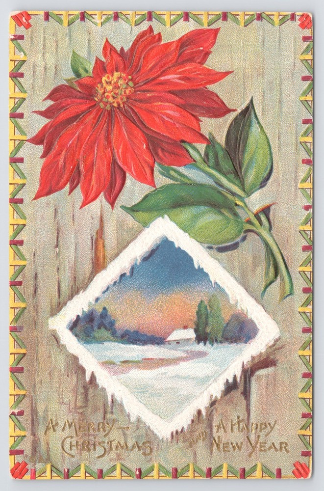 E Nash~c1910~New Year~27~A Merry Christmas & Happy New Year~Poinsettias~Winter