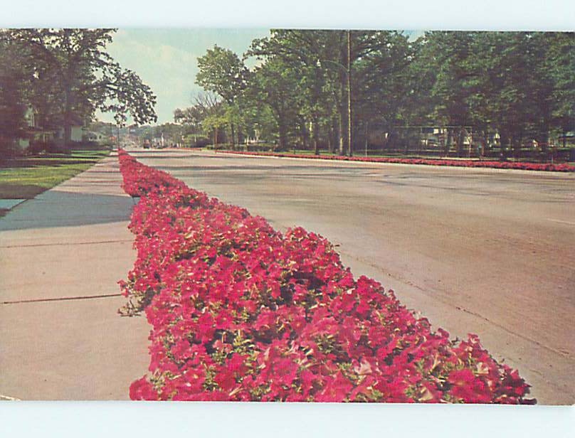 Pre-1980 STREET SCENE Dixon Illinois IL HJ6739