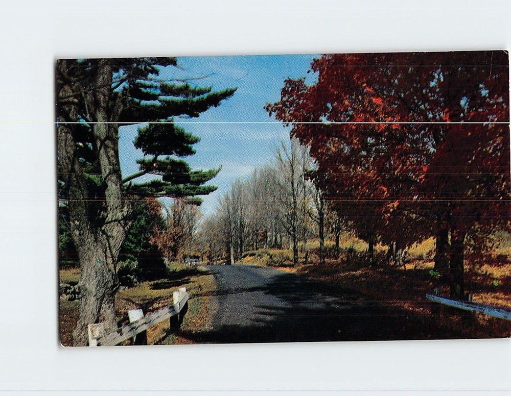Postcard Country Road Autumn Nature Scene