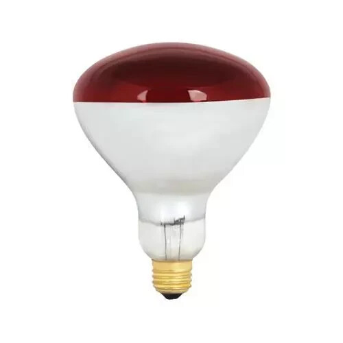Feit  Heat Lamp, R40, Dimmable, 250-Watts