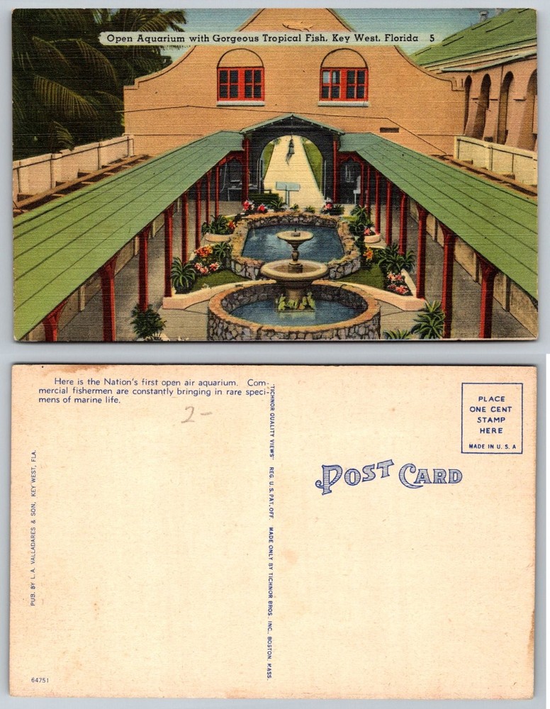 Key West Florida Open Air Aquarium Linen Postcard Tropical Fish Tichnor View