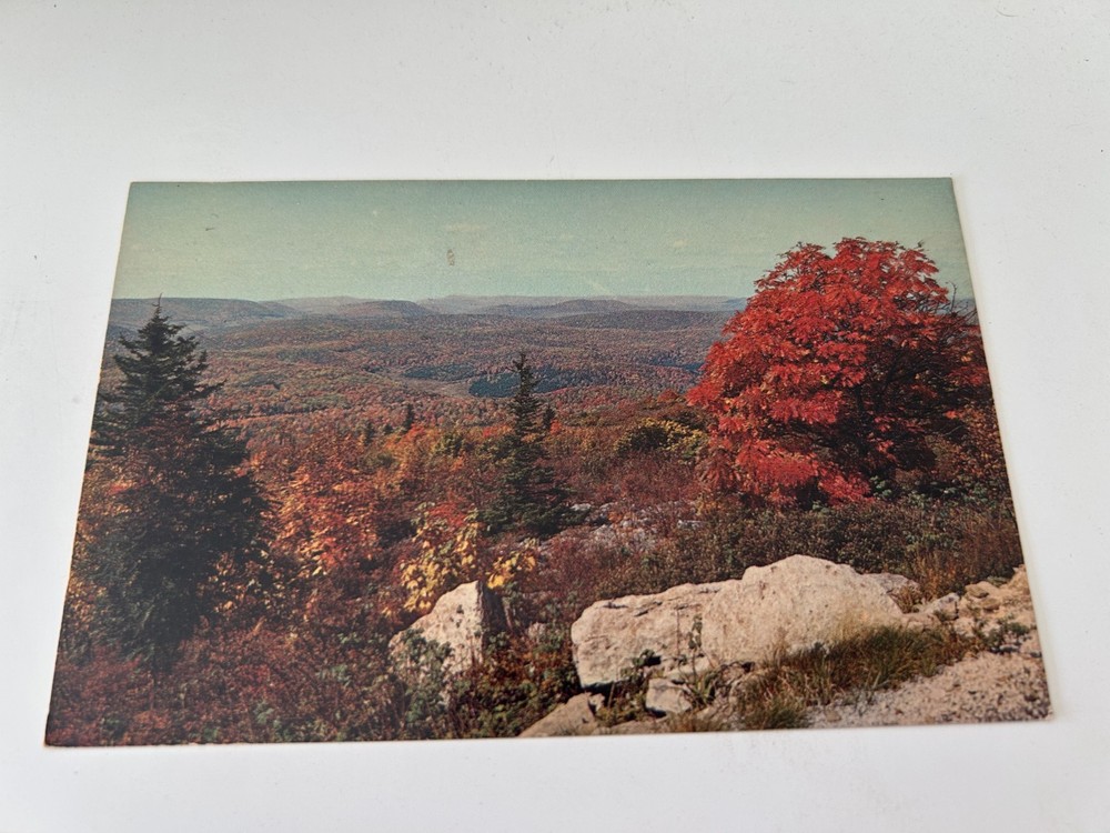 View from Summit of Spruce Knob Elkins West Virginia WV Postcard