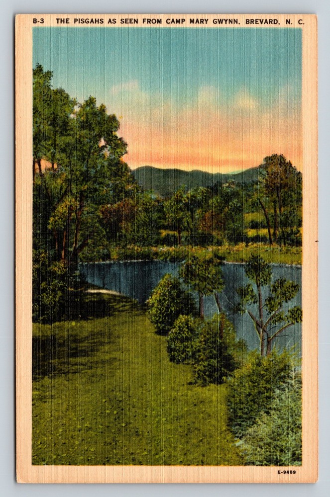 Pisgahs Seen From Camp Mary Gwynn Brevard NC VINTAGE Postcard