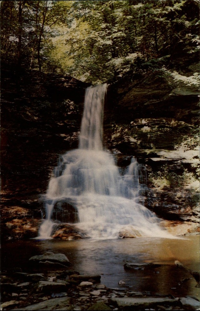 Ricketts Glen State Park Pennsylvania Pulpit Falls Kitchen Creek unused postcard
