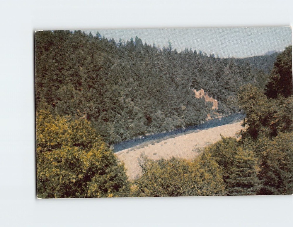 Postcard Redwood Highway Eel River USA
