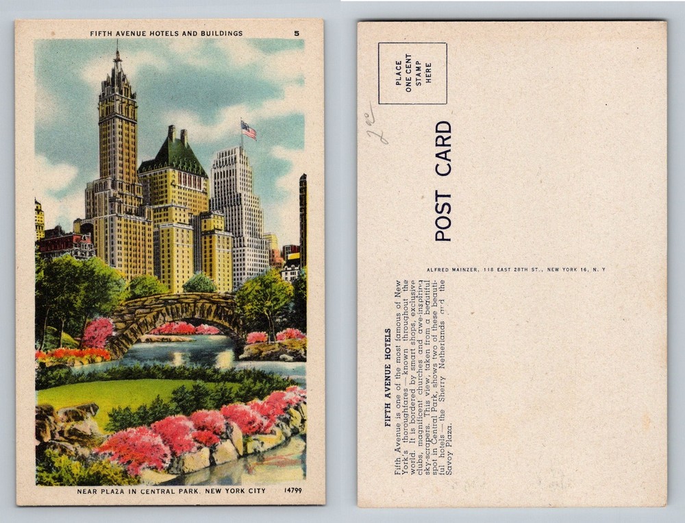 New York City NY, Fifth Avenue Hotels Plaza Central Park Vintage Postcard