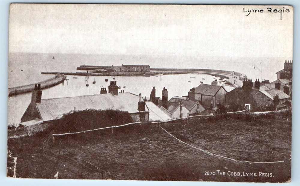LYME REGIS The Cobb DORSET England UK Postcard