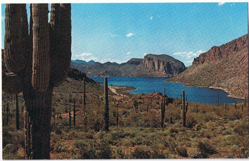 Arizona Postcard Canyon Lake Apache Trail Cactus