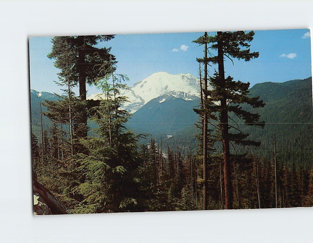 Postcard Mount Rainier from Chinook Pass Highway Washington USA