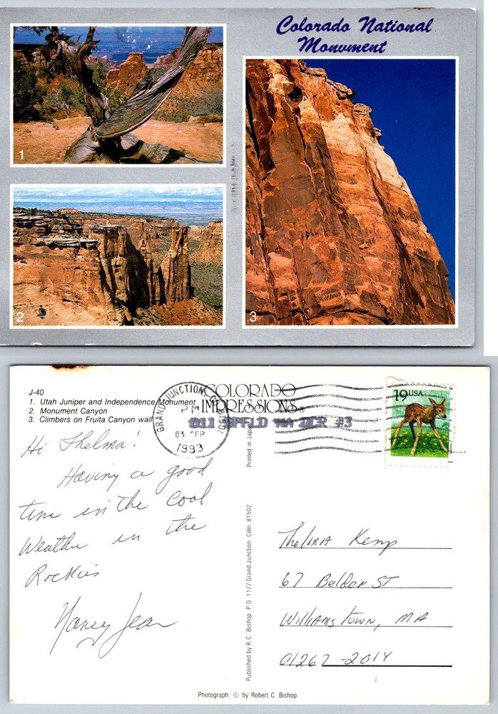1993 Colorado National Monument Postcard w/ Climbers & Utah Juniper