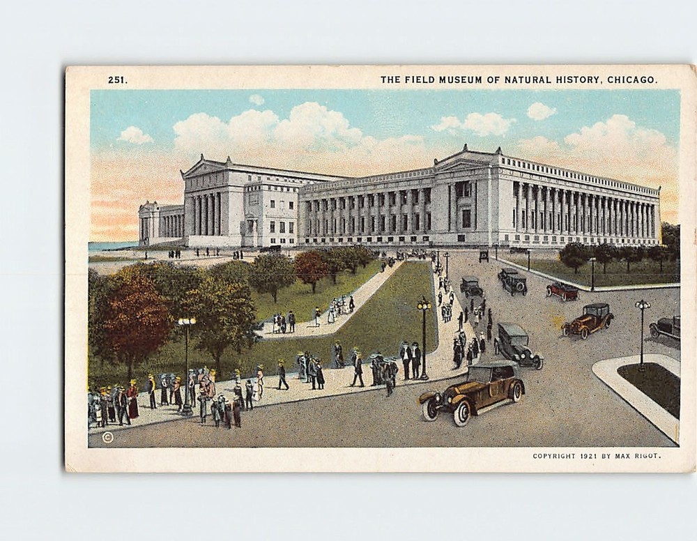 Postcard The Field Museum of Natural History Chicago Illinois USA