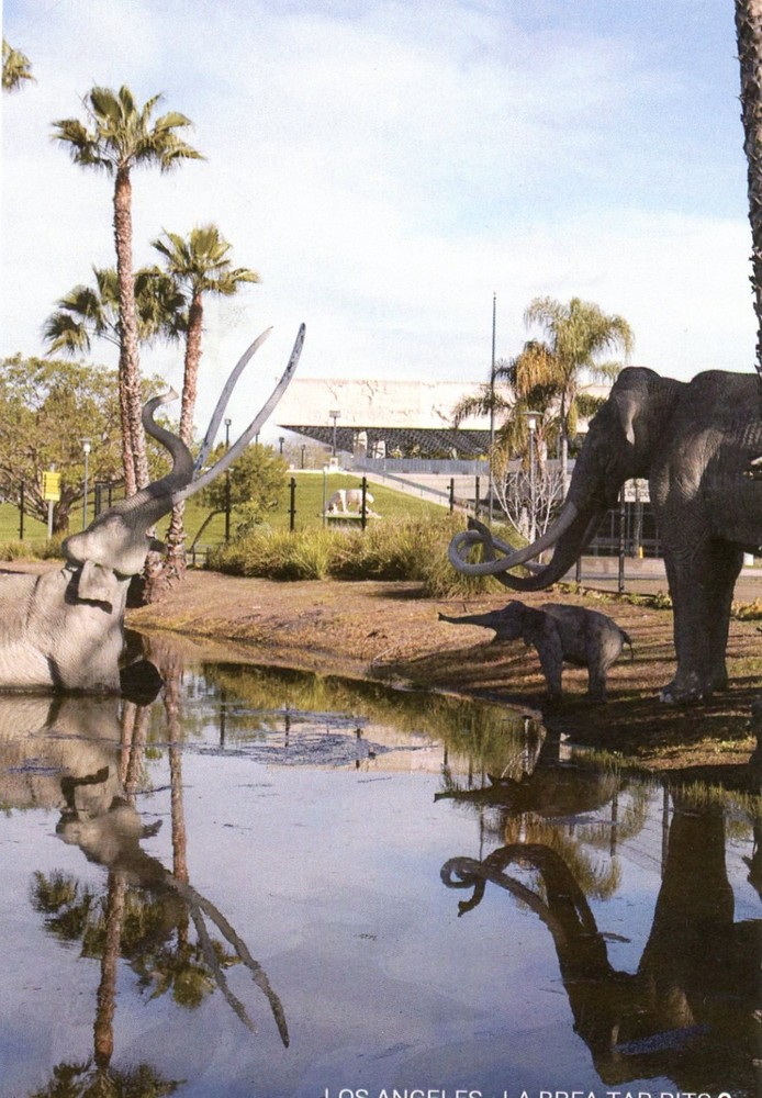 La Brea Tar Pits, Fossil Site, Los Angeles, California --New POSTCARD