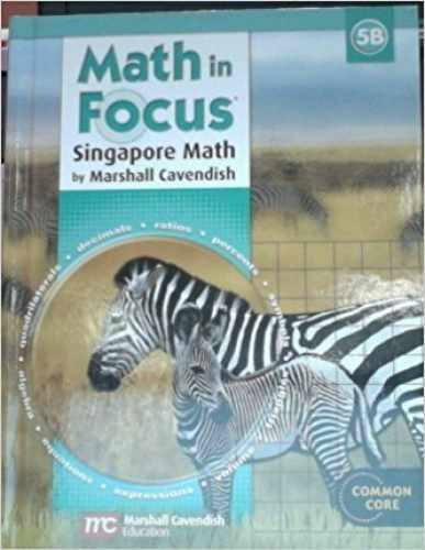 Math in Focus: Singapore Math, Book B - Paperback, by Great Source - Very Good